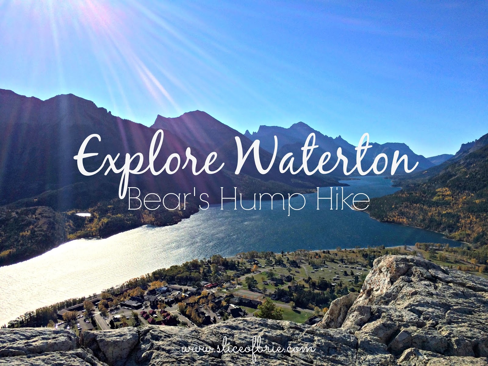 A Slice of Brie Explore Waterton Bear's Hump Hike