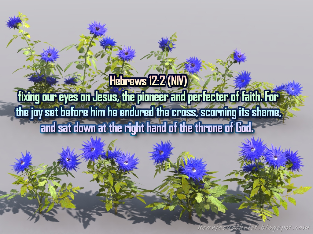 Christian Wallpapers: Bible Verse Wallpaper - Hebrews 12:2