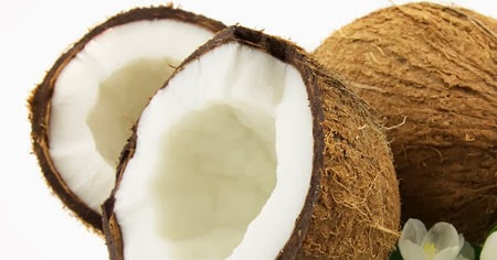 TABİAT VE SAĞLIK: HİNDİSTAN CEVİZİ YAĞININ FAYDALARI