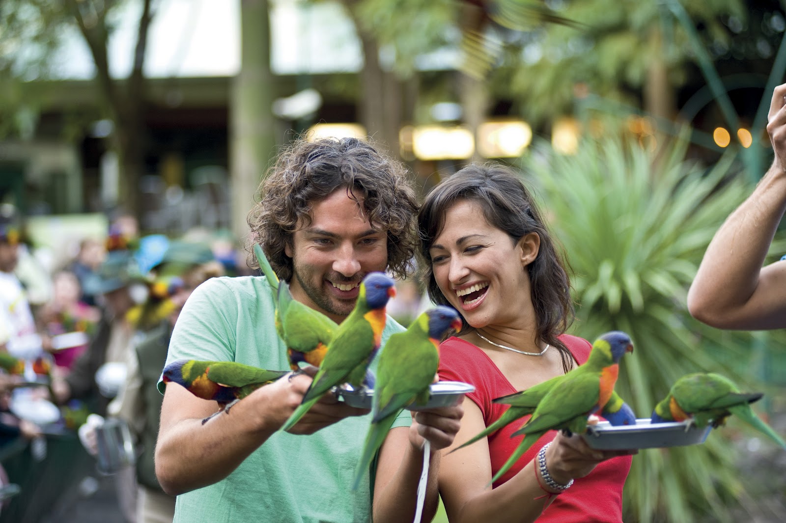 Sunlover Holidays Gold Coast S Beaches