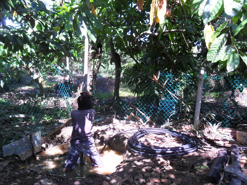 Wak Labu Farm Telage tube Wak Labu