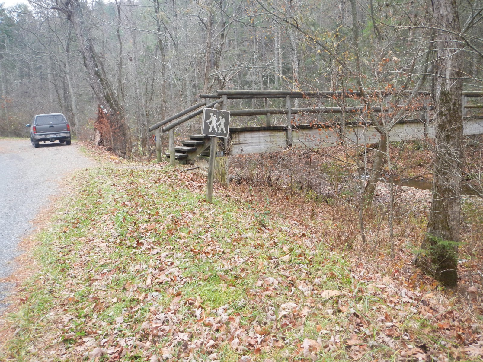 Wandering Virginia AT/Little Cove Mountain Trail Loop