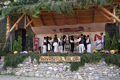 Ravasitul Oilor Bran 2011