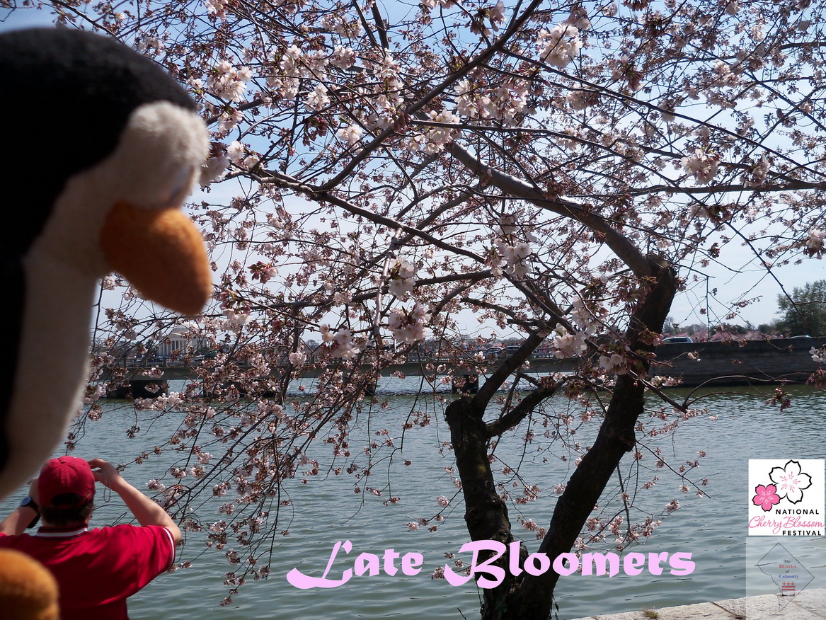 w+Late+Bloomers.jpg