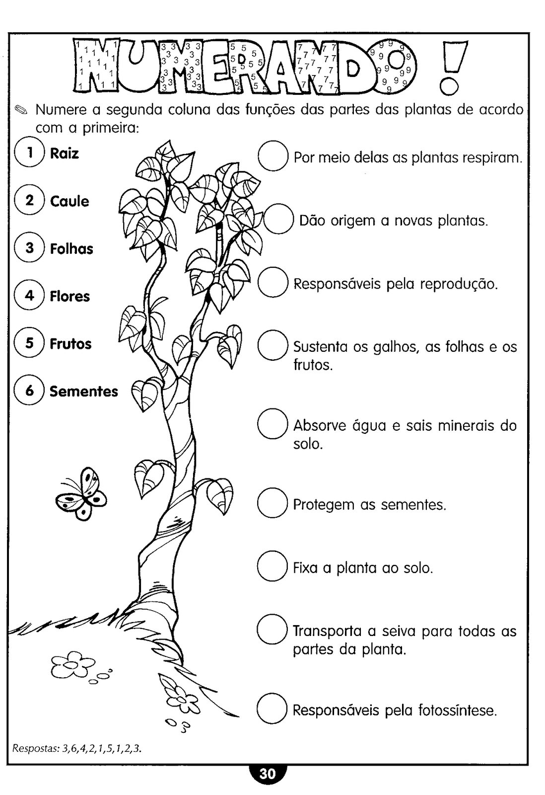 تا+ته+بکن+تو+کسم ATIVIDADES DE CIÊNCIAS 4° ANO ALFABETIZAÇÃO DIVERTIDA 9 ANOS VI ...