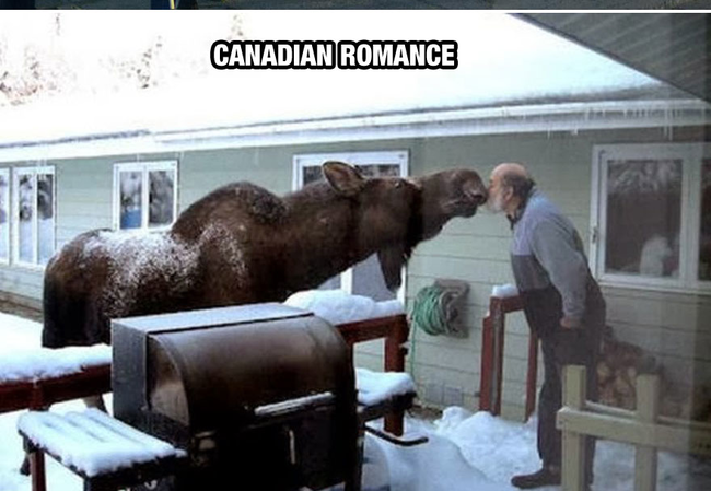 Love at first sight. - Life In Canada Is So Much Different, And Colder, Than Life Anywhere Else. Love at first sight. - Life In Canada Is So Much Different, And Colder, Than Life Anywhere Else.