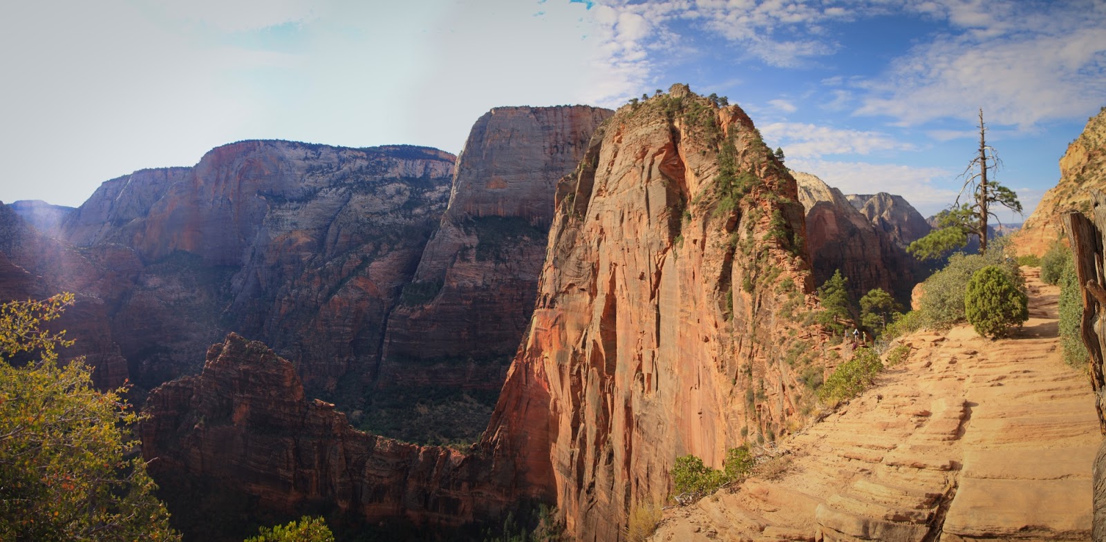 Snippets from the Brodies Horseshoe Bend & Zion National Park July