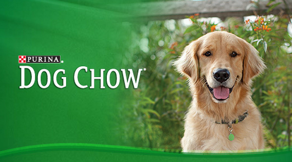 Resultado de imagen para dog chow publicidad