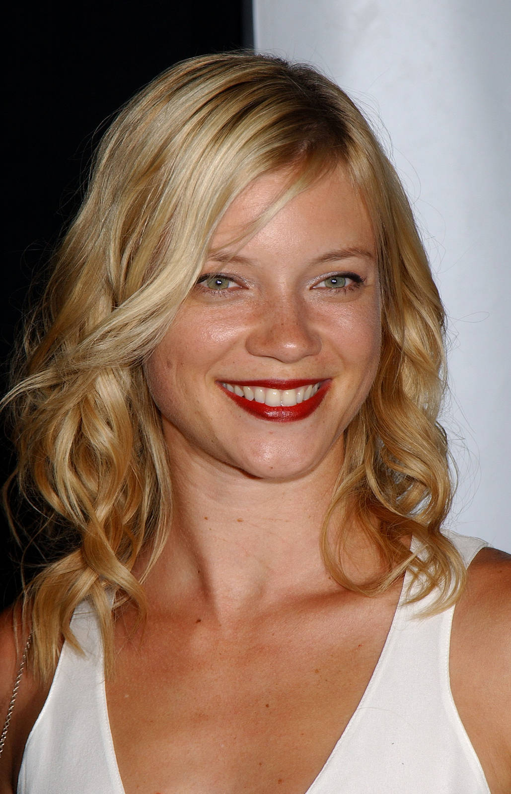 CELEBRITY PICS: Amy Smart