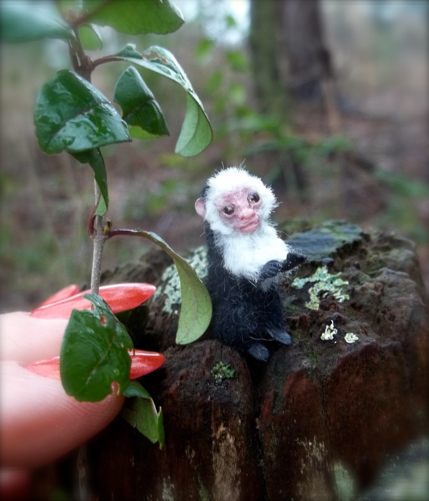 Woolytales Miniatures Capuchin miniature dollhouse Monkey