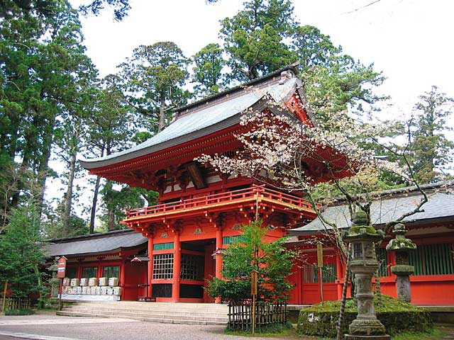 Mutekatsu Ryu Roundabouts