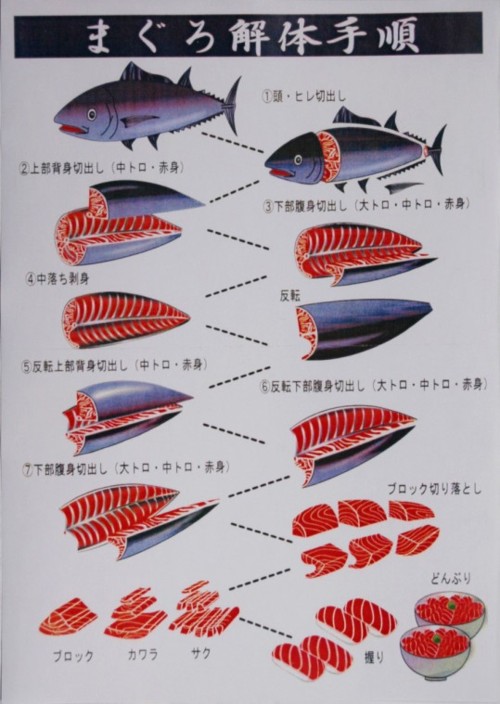 SPOT: Mr. Maguro マグロ