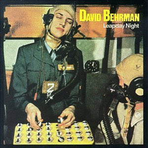 David Behrman, Leapday Night