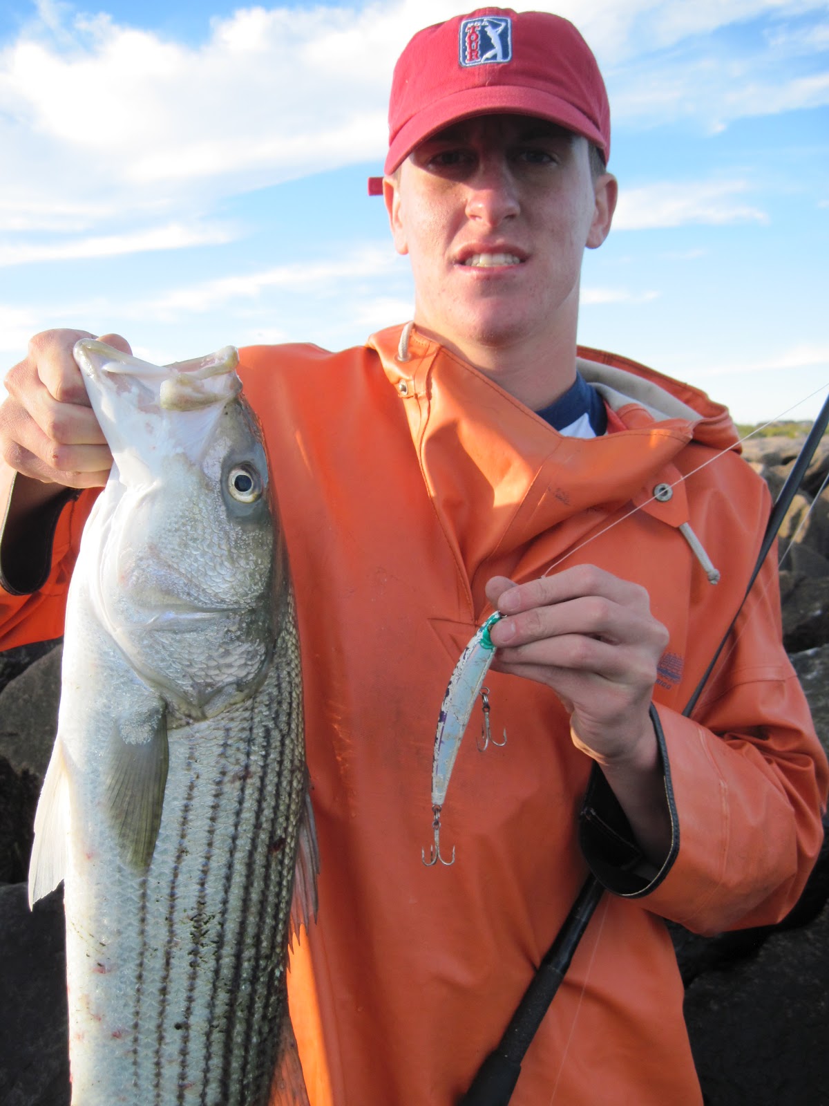 Rhode Island Striped Bass: October 2012