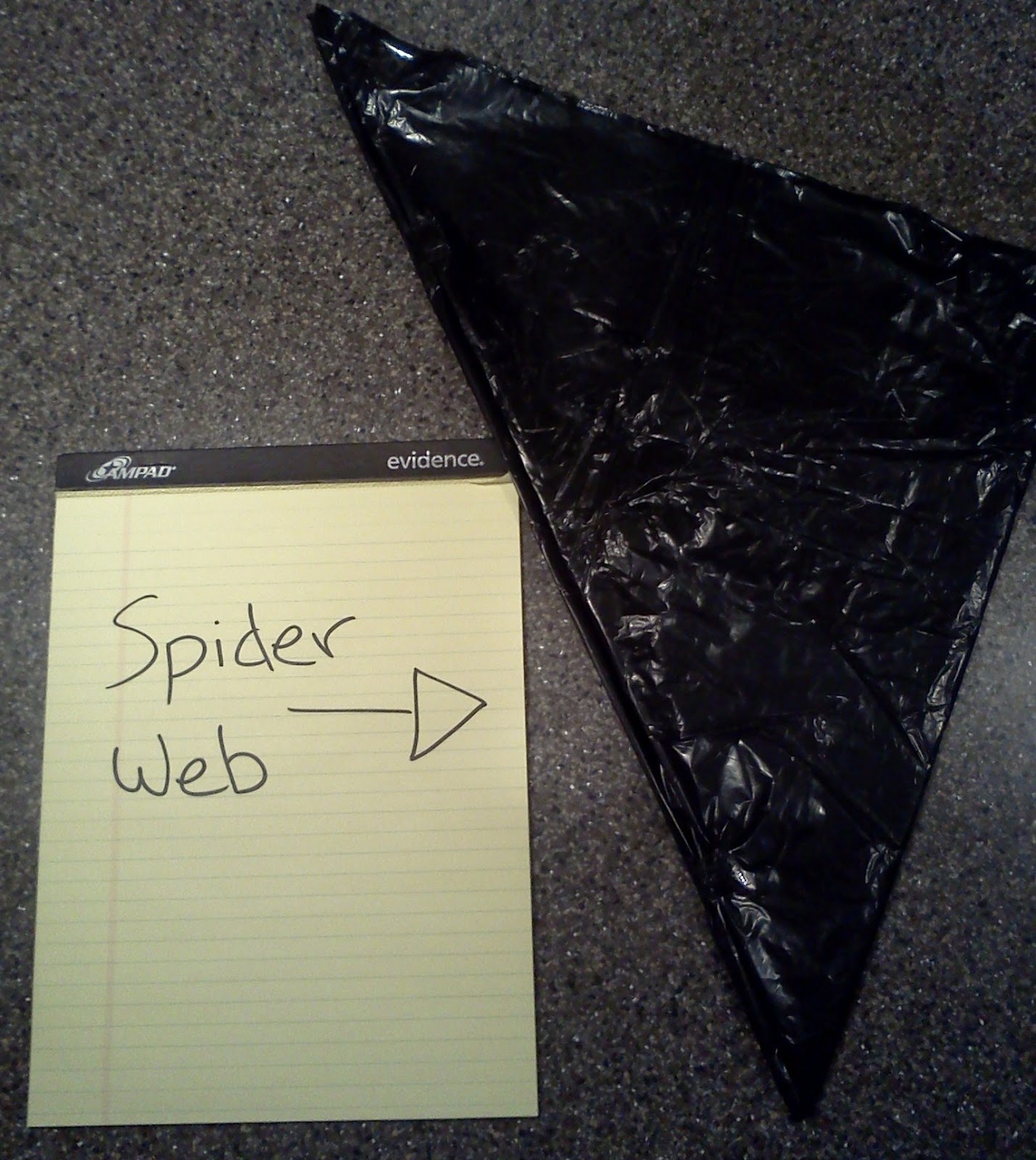 Talented Terrace Girls Trash Bag Spider s and Garlands