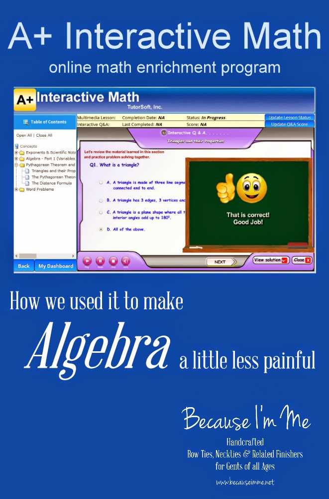 Check out our review of A+ Interactive Math