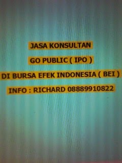 JASA KONSULTAN  GO PUBLIC ( IPO )  DI BURSA EFEK INDONESIA ( BEI )