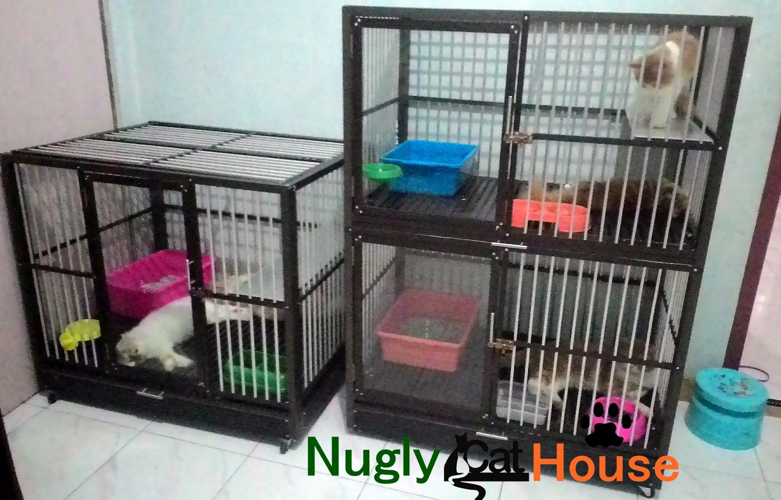 jual kandang kucing alumunium murah dan berkualitas jual kandang kucing alumunium murah dan berkualitas