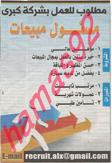 وظائف خالية من جريدة الوسيط الاسكندرية الثلاثاء 01-10-2013 %D9%88+%D8%B3+%D8%B3+6
