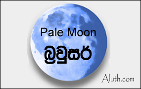 Pale Luna Web browser Download Pale Luna Web browser Download