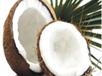 coconut oil for hair treatment