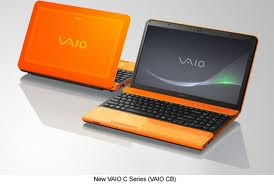 mini notebook sony W series