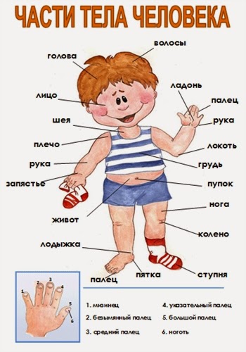Раскраска секс