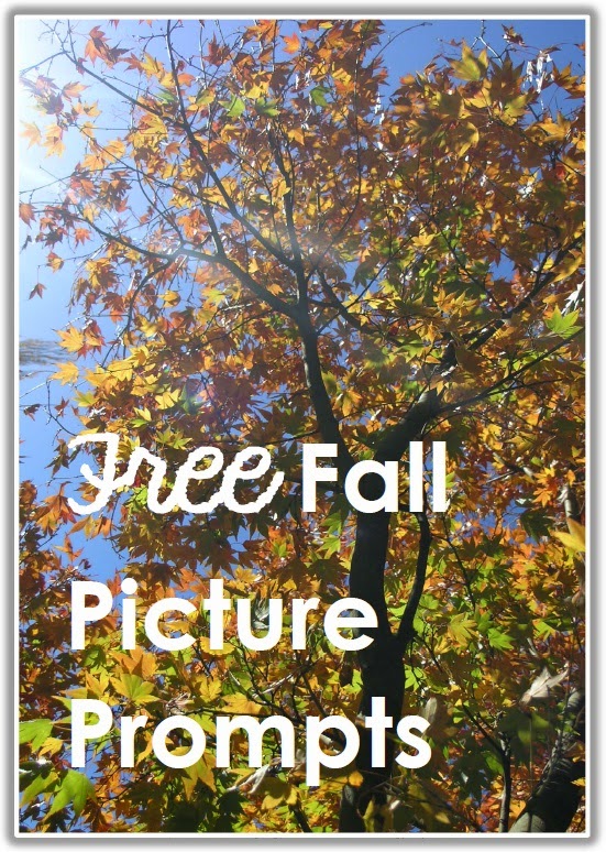 Free Fall Picture Prompts