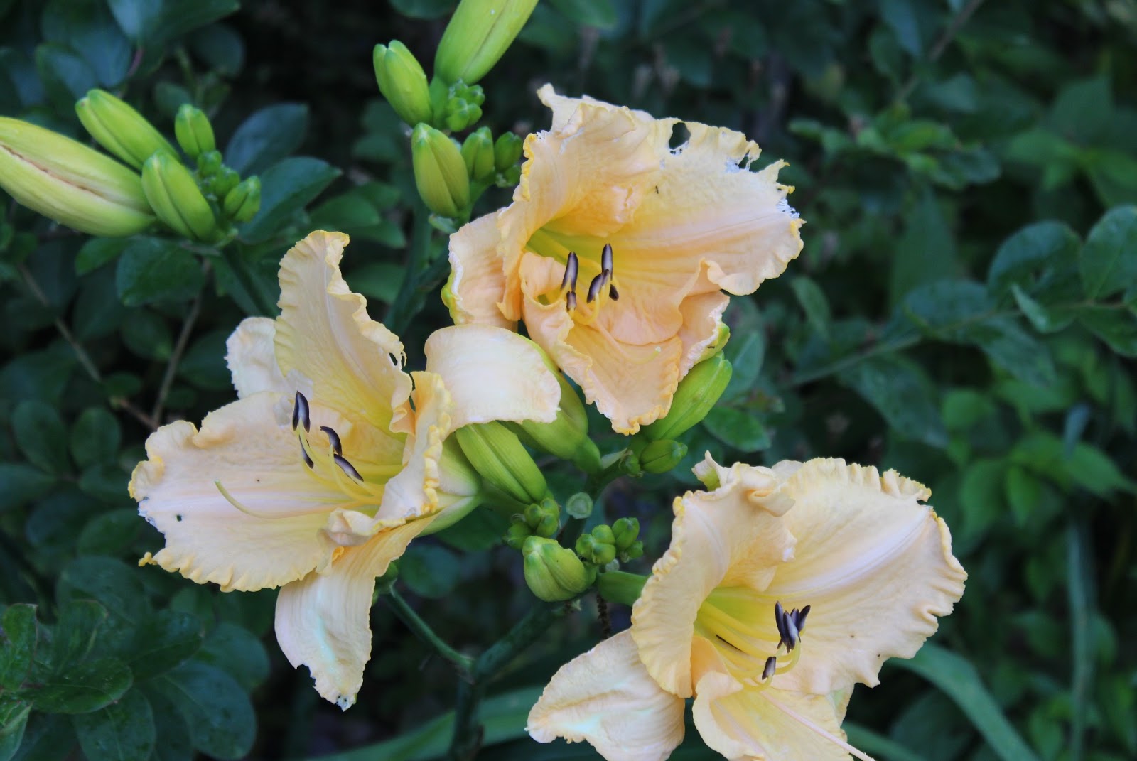 The Next Stage Women And Retirement 2014