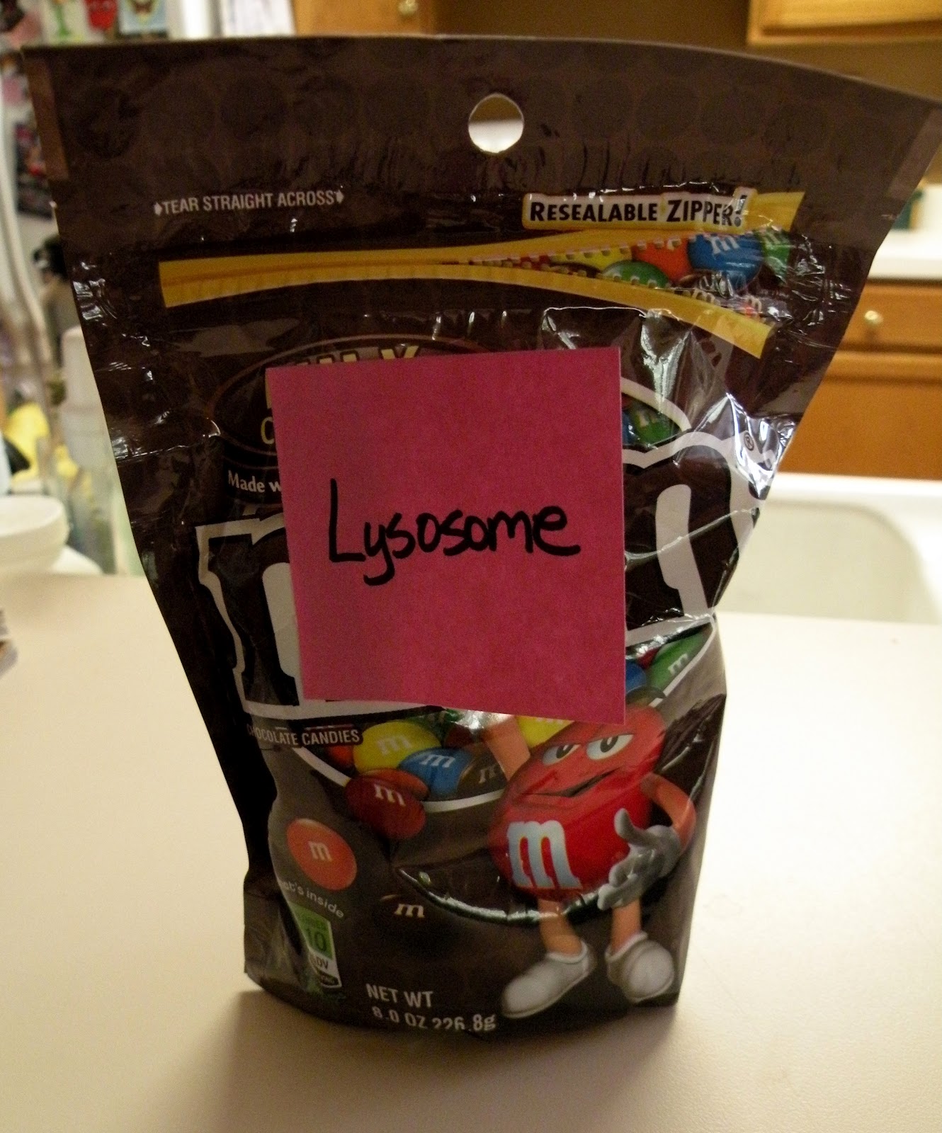 The Fantastic Five Jello Animal Cell