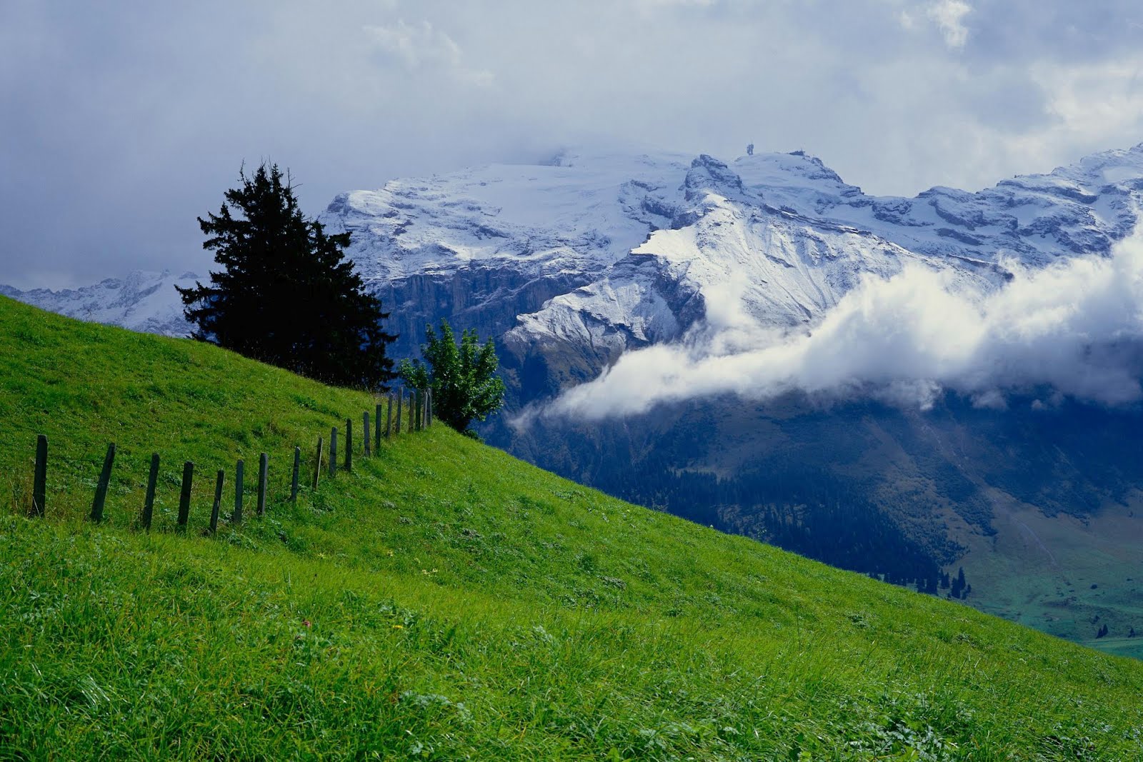 http://2.bp.blogspot.com/-croMNxvtE1I/UFUwduQomRI/AAAAAAAACk4/cEv9gaFsyFw/s1600/Green%2BGrass%2BWallpapers%2B5.jpg