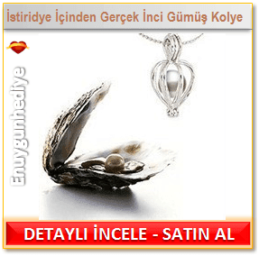 Bayanlara özel sevgililer günü hediye fikirleri İstiridye İçinden Çıkan Gerçek İncili Gümüş Kolye