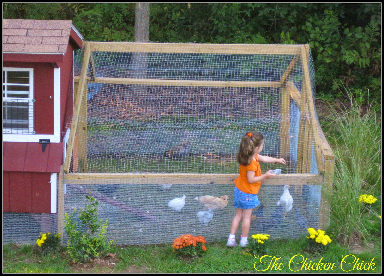 The Chicken Chick® Landscape Gardening with Chickens