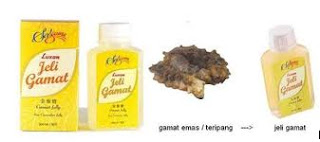 jelly+gamat+teripang.jpg