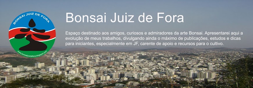 Bonsai em Juiz de Fora com Bruno Gomes