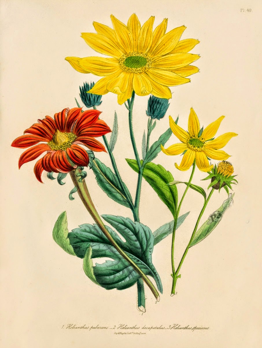 Infotainment @ www.keralites.net Fun & Info @ Keralites.net