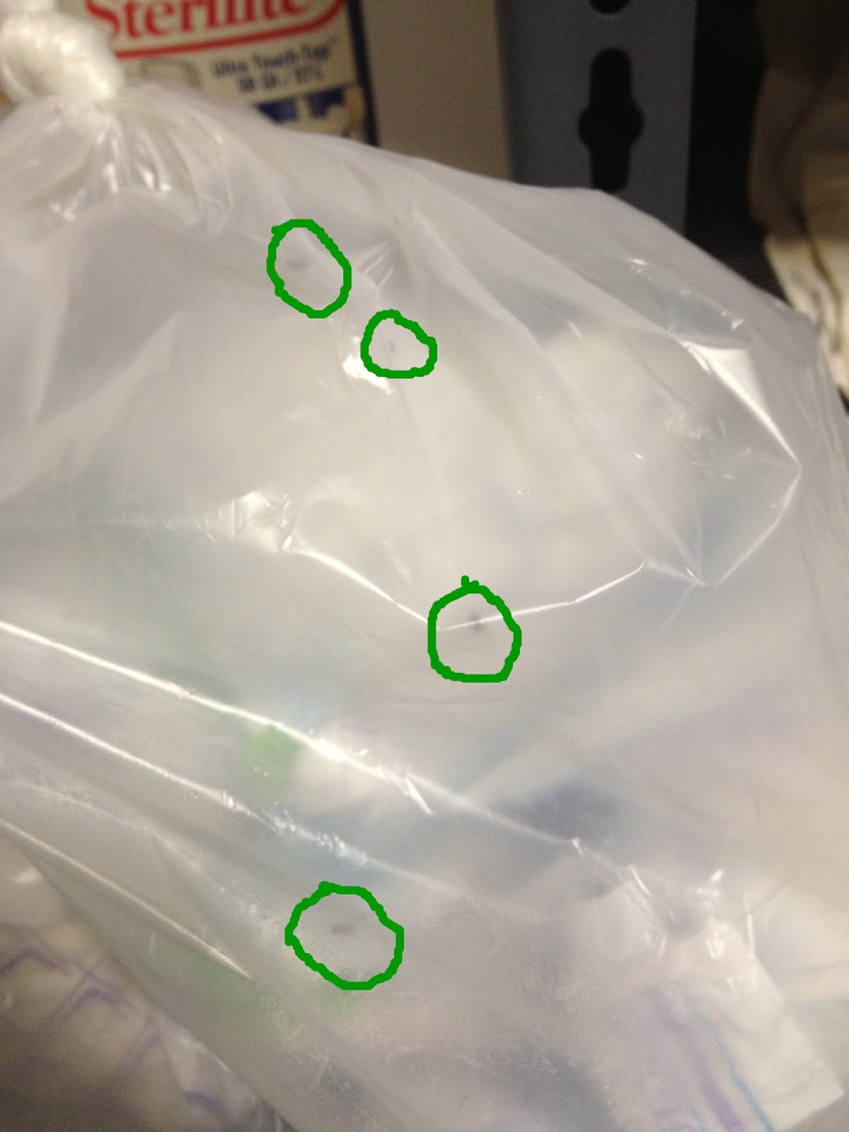 The DIY Guinea Pig Be Gone Diaper Pail Stink