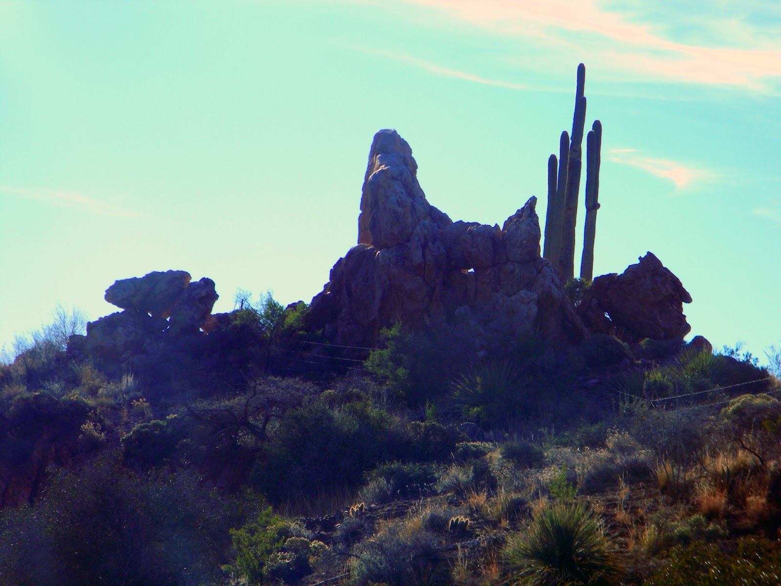 Road to Kearny AZ Hwy 177