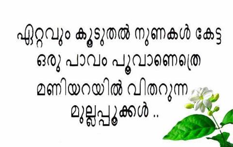 flirt malayalam meaning Synonyms for unrequired at thesauruscom with free online thesaurus, antonyms, and definitions find descriptive alternatives for unrequired. flirt malayalam meaning Synonyms for unrequired at thesauruscom with free online thesaurus, antonyms, and definitions find descriptive alternatives for unrequired.