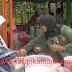 Kunjungan Agribisnis Mahasiswa UPN Veteran Yogyakarta di AL BARIK