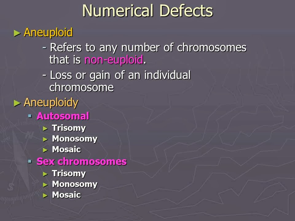 Slide 8