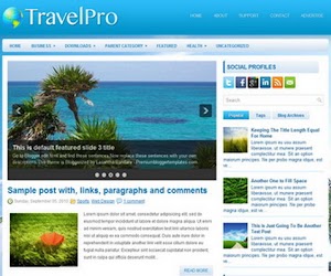 TravelPro 2 Column Blogger Template