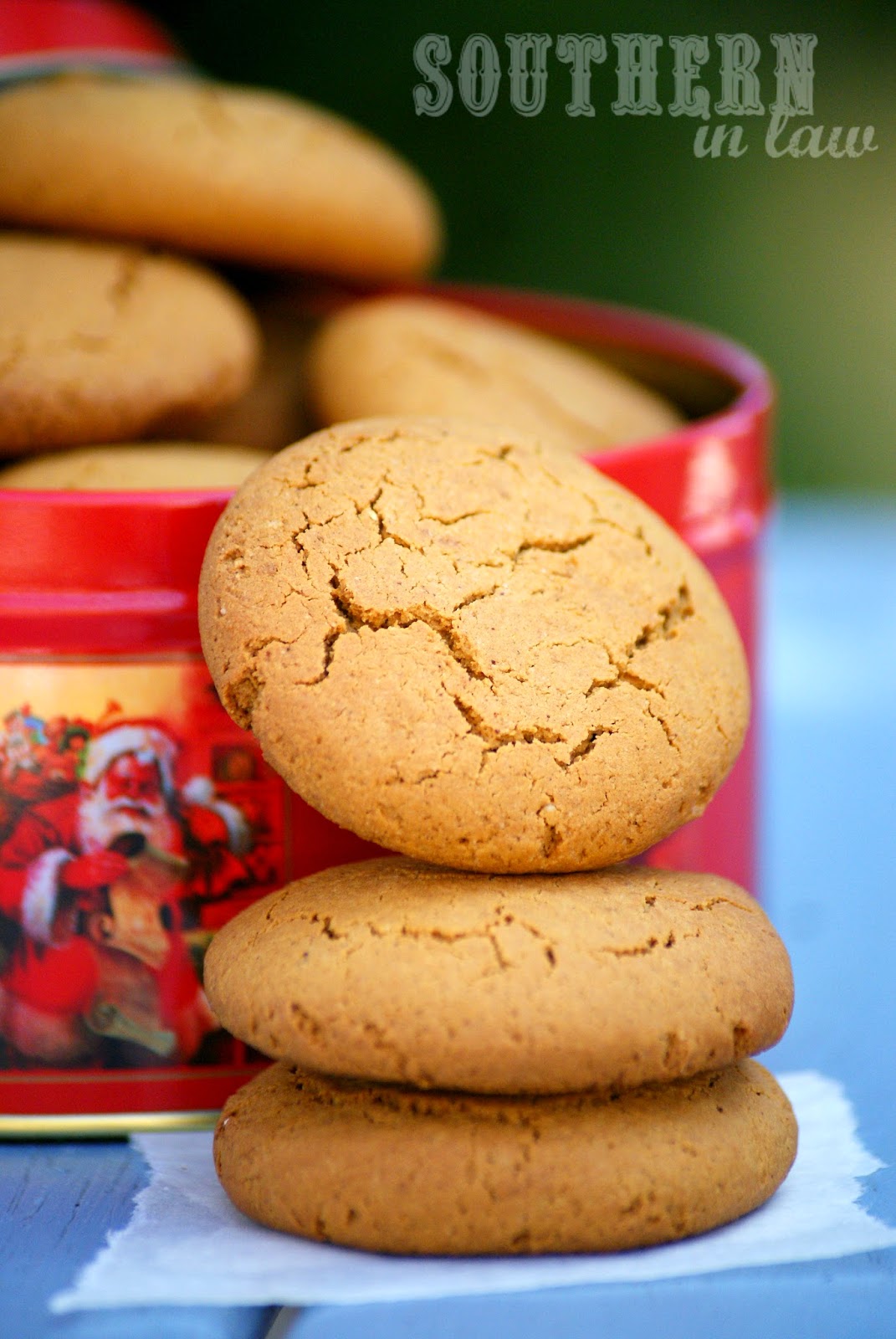 Jesse Mccartney Blonde Healthy Low Fat Cookies