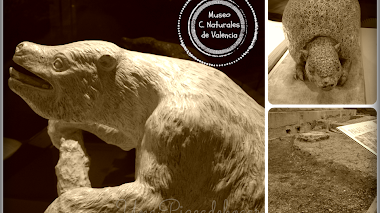 Escapada con niños al Museo de Ciencias Naturales de Valencia.