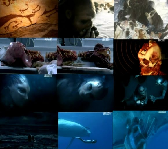 sirenas sirenas