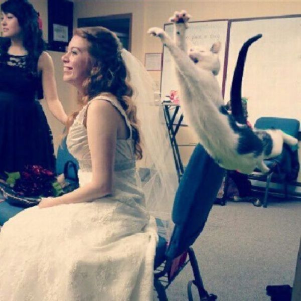 Fotos graciosas de bodas gente metida arruinadas