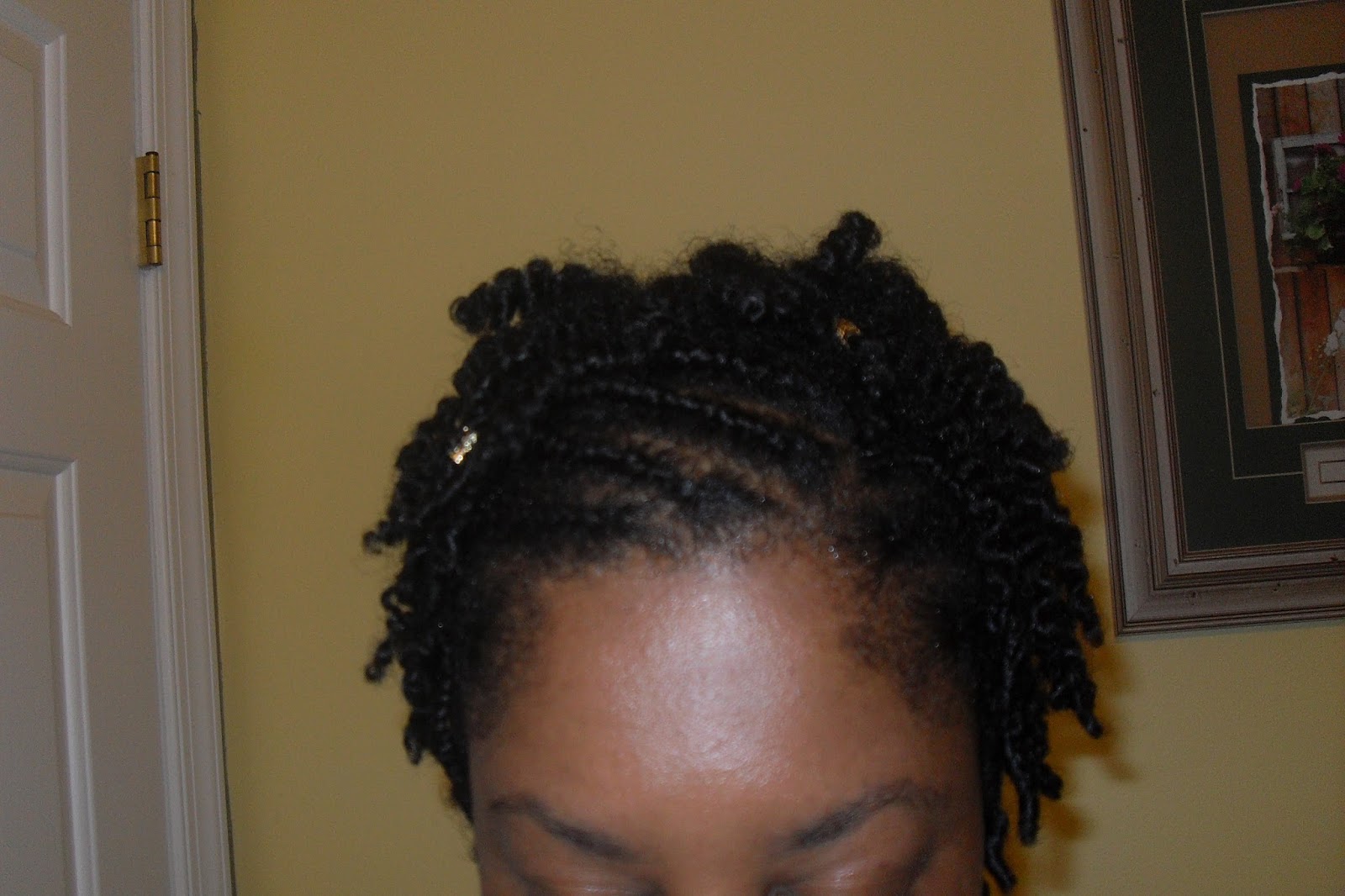 Natural Healthy Curls 15 Front Braided Twist Out