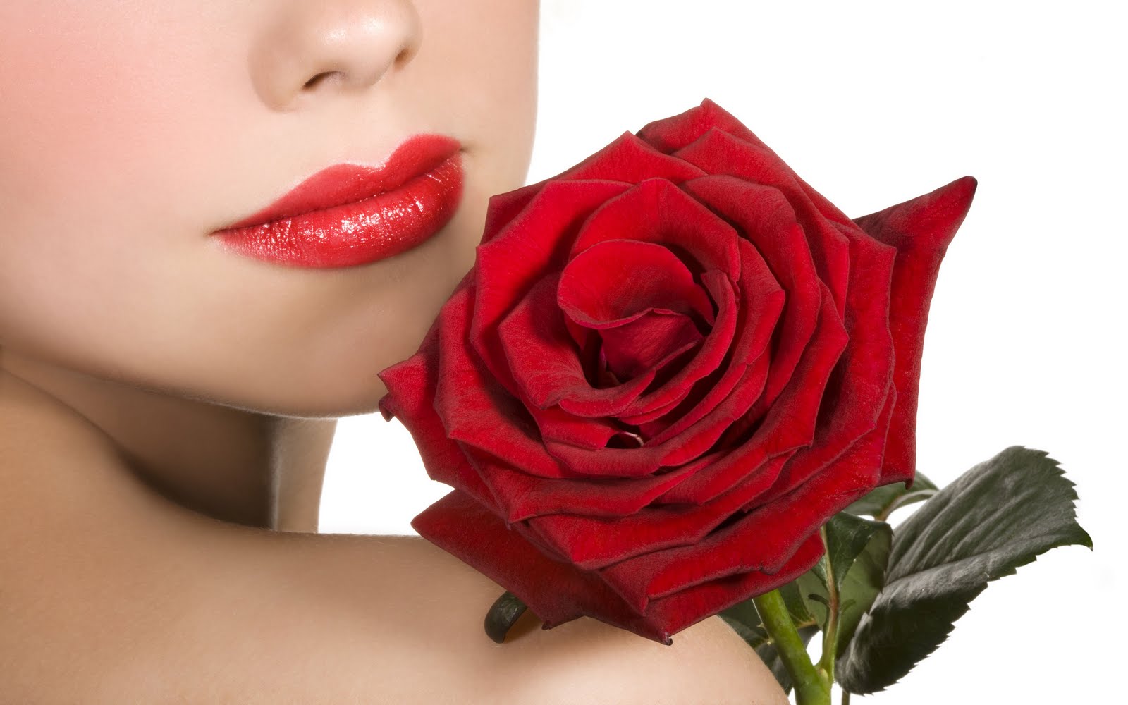 Rose I Love You Rose I Love You