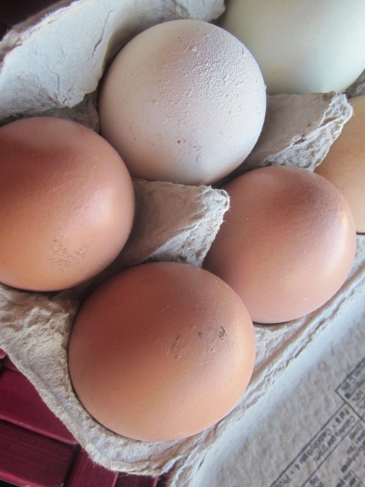 Powdered vs. Fresh The Differences Between Honeyville Eggs and Farm