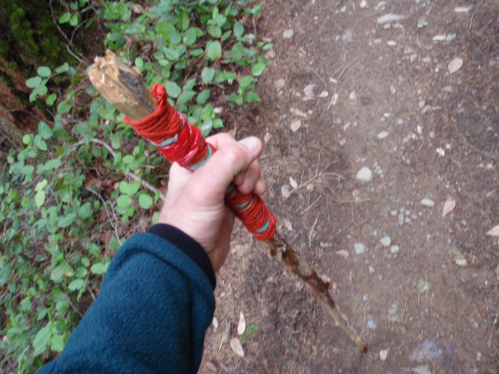 Cardio Trek Toronto Personal Trainer The Benefits of Walking Sticks